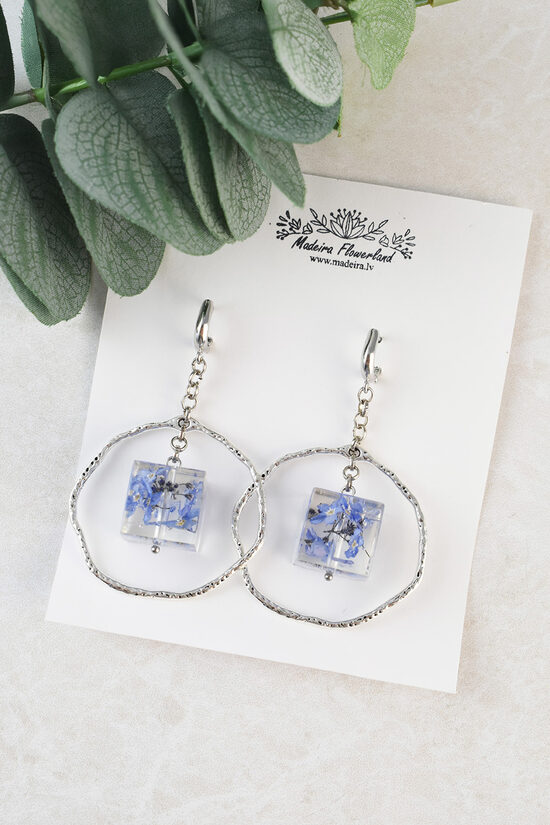 Auskari kubiņi ar neaizmirstulītēm