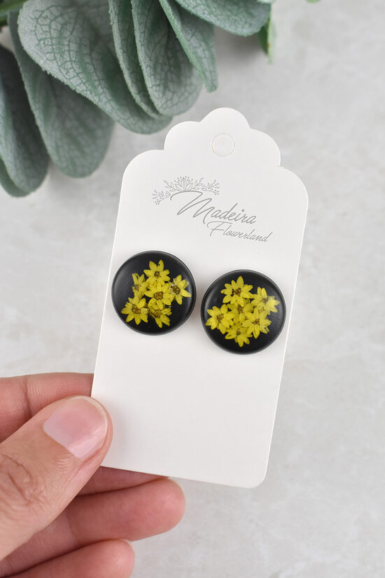 Mazi nagliņu auskari