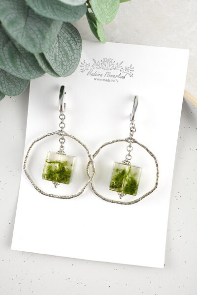 Auskari ''Kubi ar sūnām''