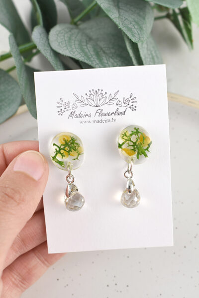 Nagliņu auskari ar kristālu