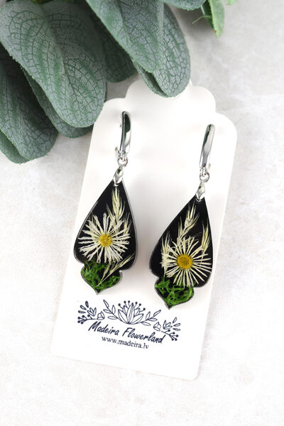 Auskari ar amoliņa ziedu