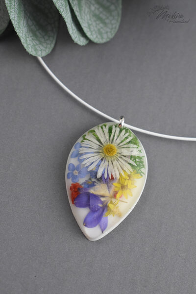 Lāses kulons ar amoliņu