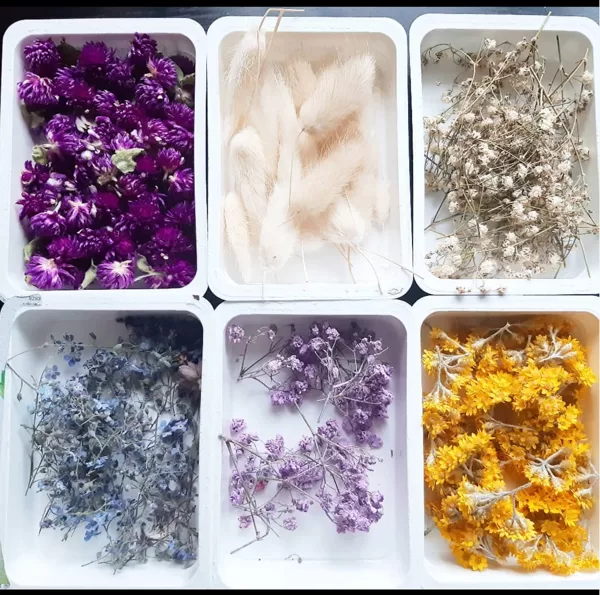 Real dried flowers for resin jewelry